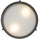 Arlson 2 Light 13 inch Matte Black Flush Mount Ceiling Light